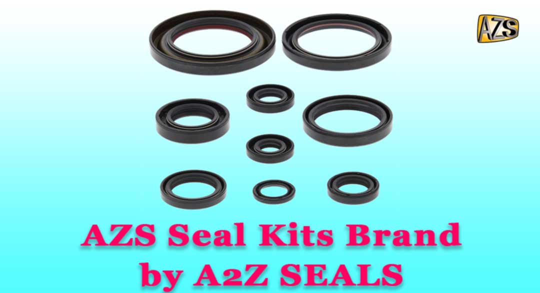 AZS Seal Kits Brand by A2Z SEALS