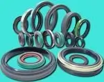 Oil Seal